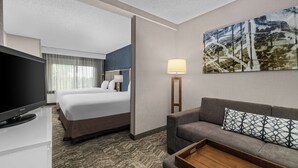 A hotel room with a bed, a sofa, a TV, a lamp, and a painting on the wall. - Springhill Suites By Marriott Minneapolis Eden Prairie (Eden Prairie)