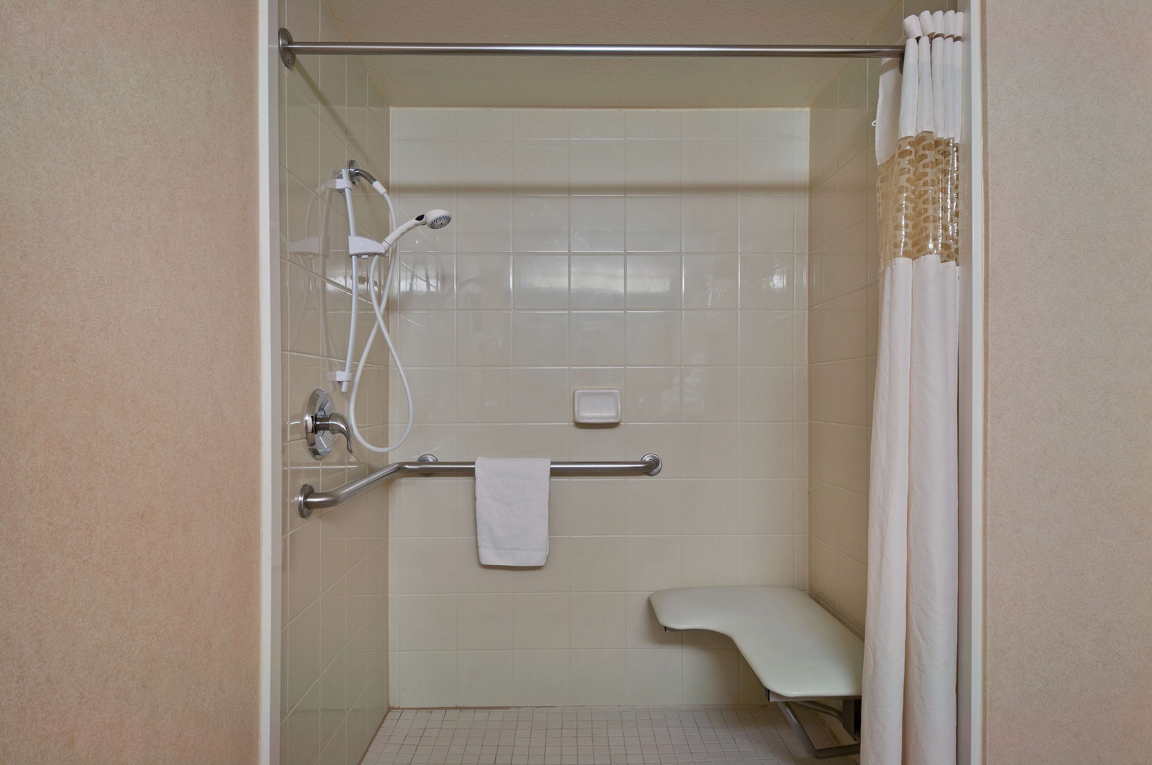 room, 1 king bed, accessible, non smoking | bathroom shower
