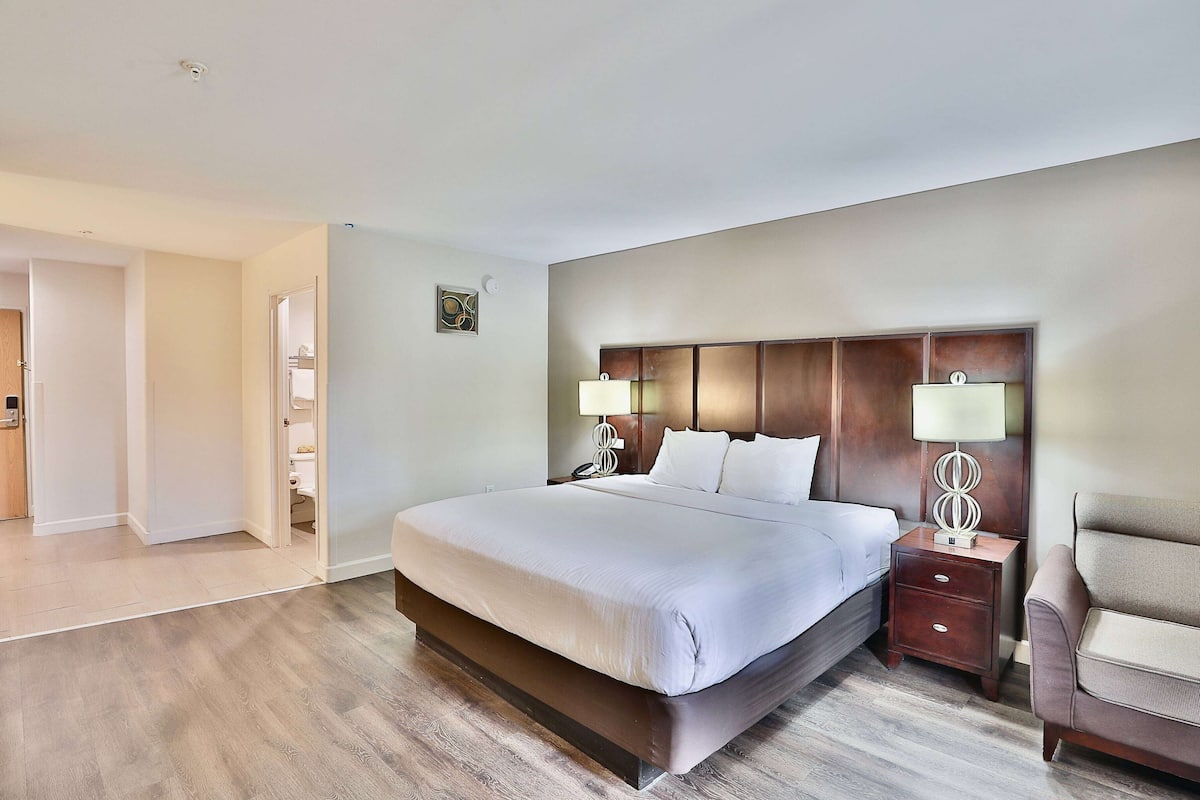 Studio Suite, 1 King Bed, Non Smoking | Desk, laptop workspace, blackout drapes, iron/ironing board