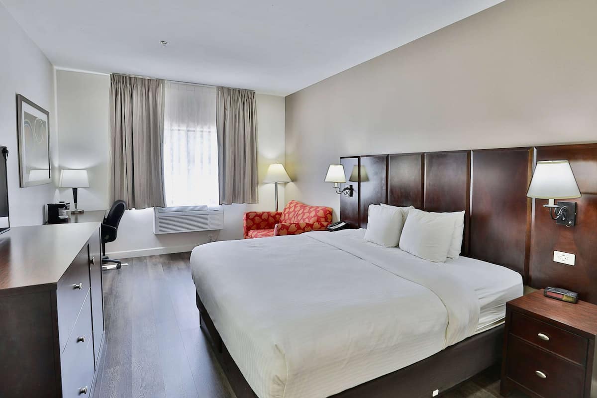 Room, 1 King Bed, Non Smoking | In-room safe, desk, laptop workspace, blackout drapes