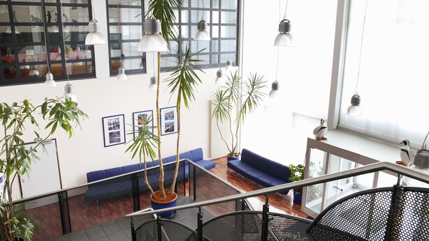 A spacious lobby with a blue sofa, potted plants, and hanging pendant lights.