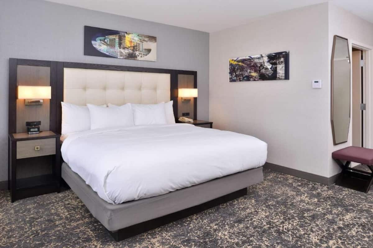 1 bedroom, hypo-allergenic bedding, in-room safe, desk