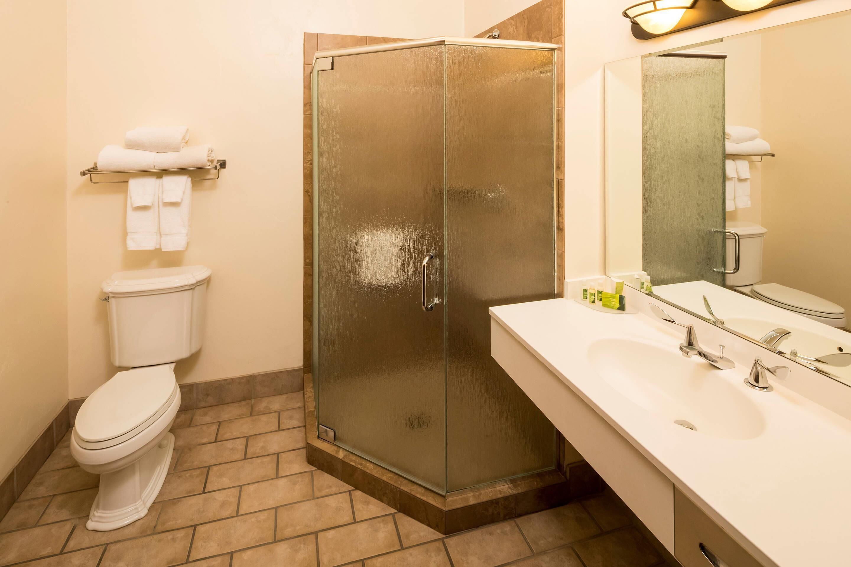 A bathroom with a toilet, a glass-enclosed shower, and a sink with a mirror.