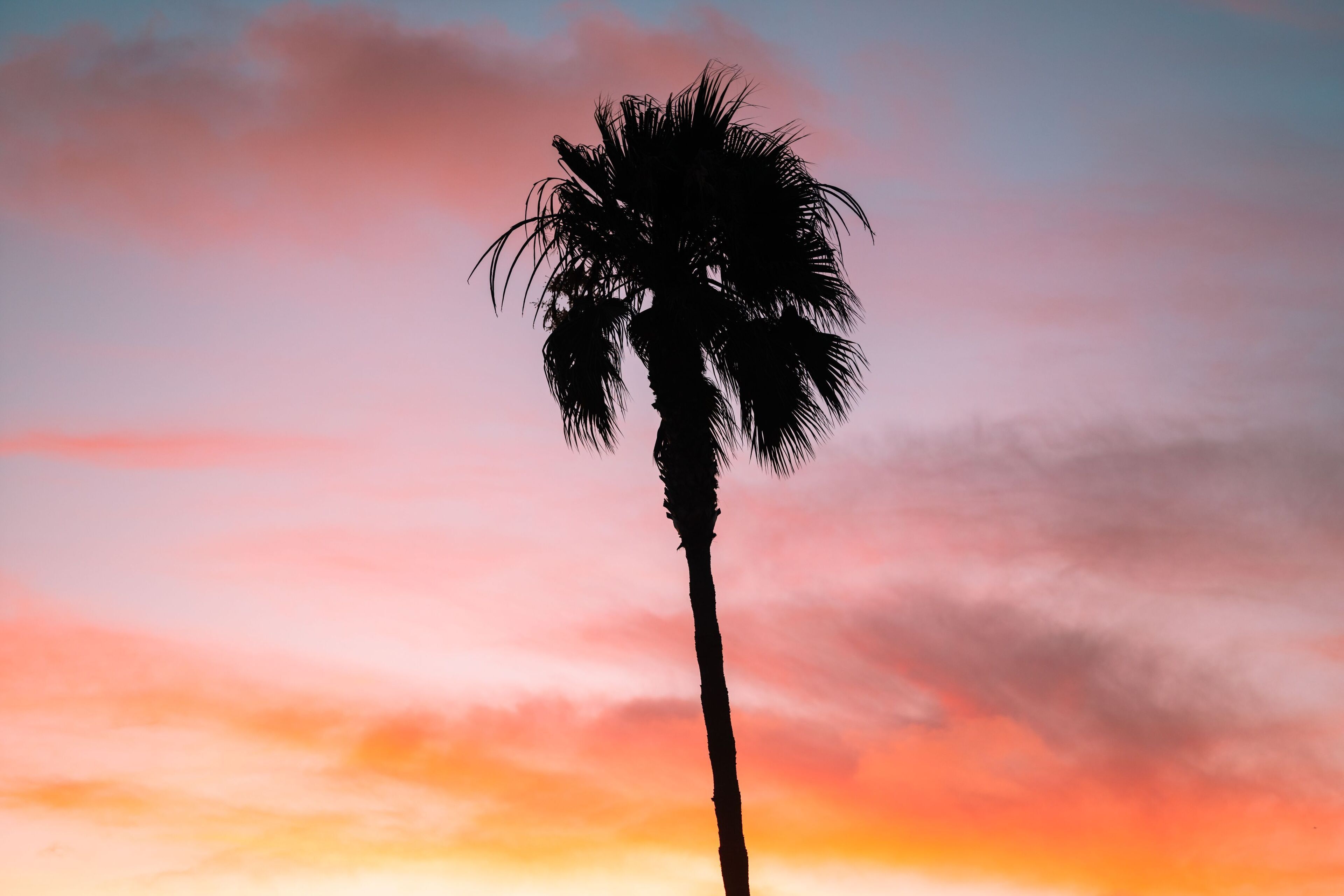 Photo - Del Mar Beach Hotel
