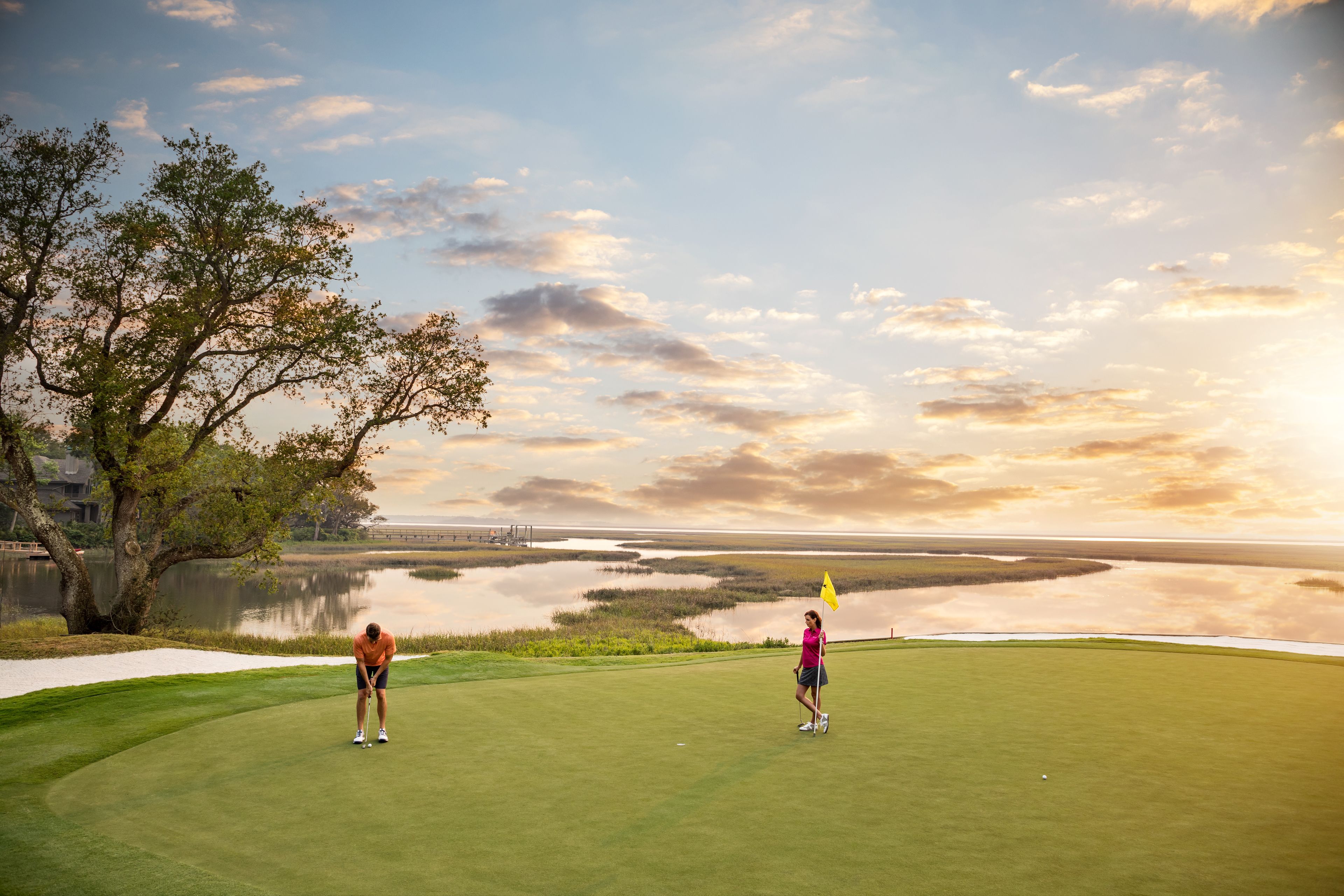 A golf course with a lake and a tree in the background.