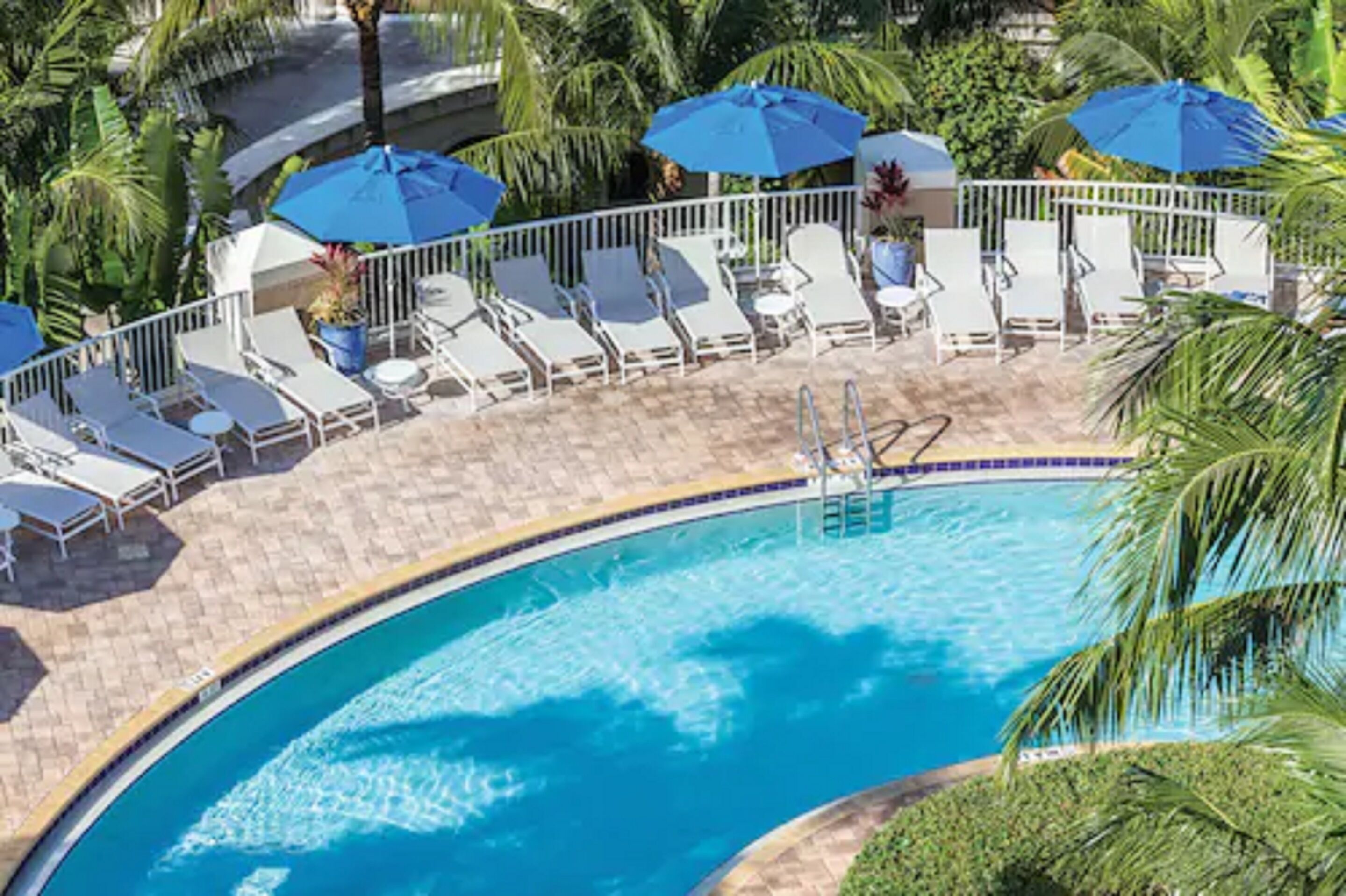 A pool area with sun loungers and umbrellas, surrounded by palm trees.