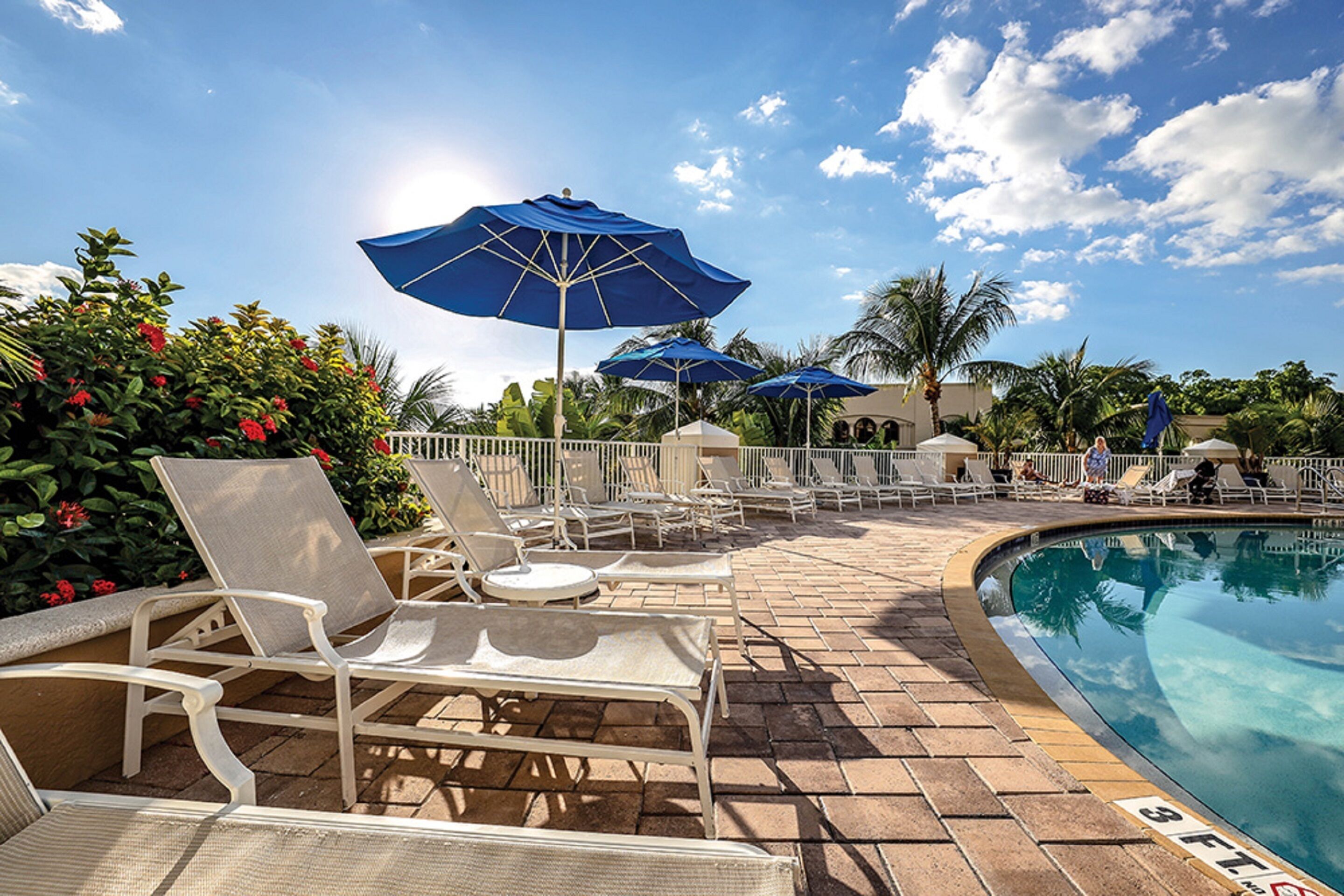 Un espace aménagé au bord de la piscine, avec des chaises longues, des parasols et une piscine.