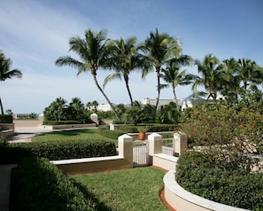 Blick auf den Garten