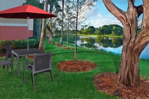 Vista desde la propiedad