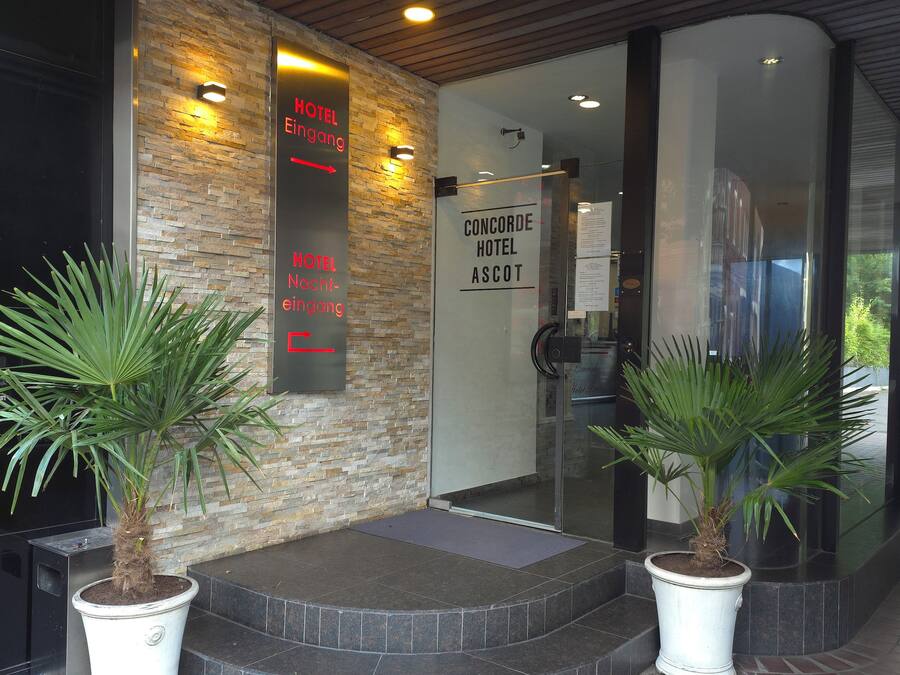 Entrada de hotel con fachada de piedra, puertas de vidrio y plantas en macetas.