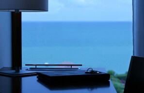 Beach/ocean view