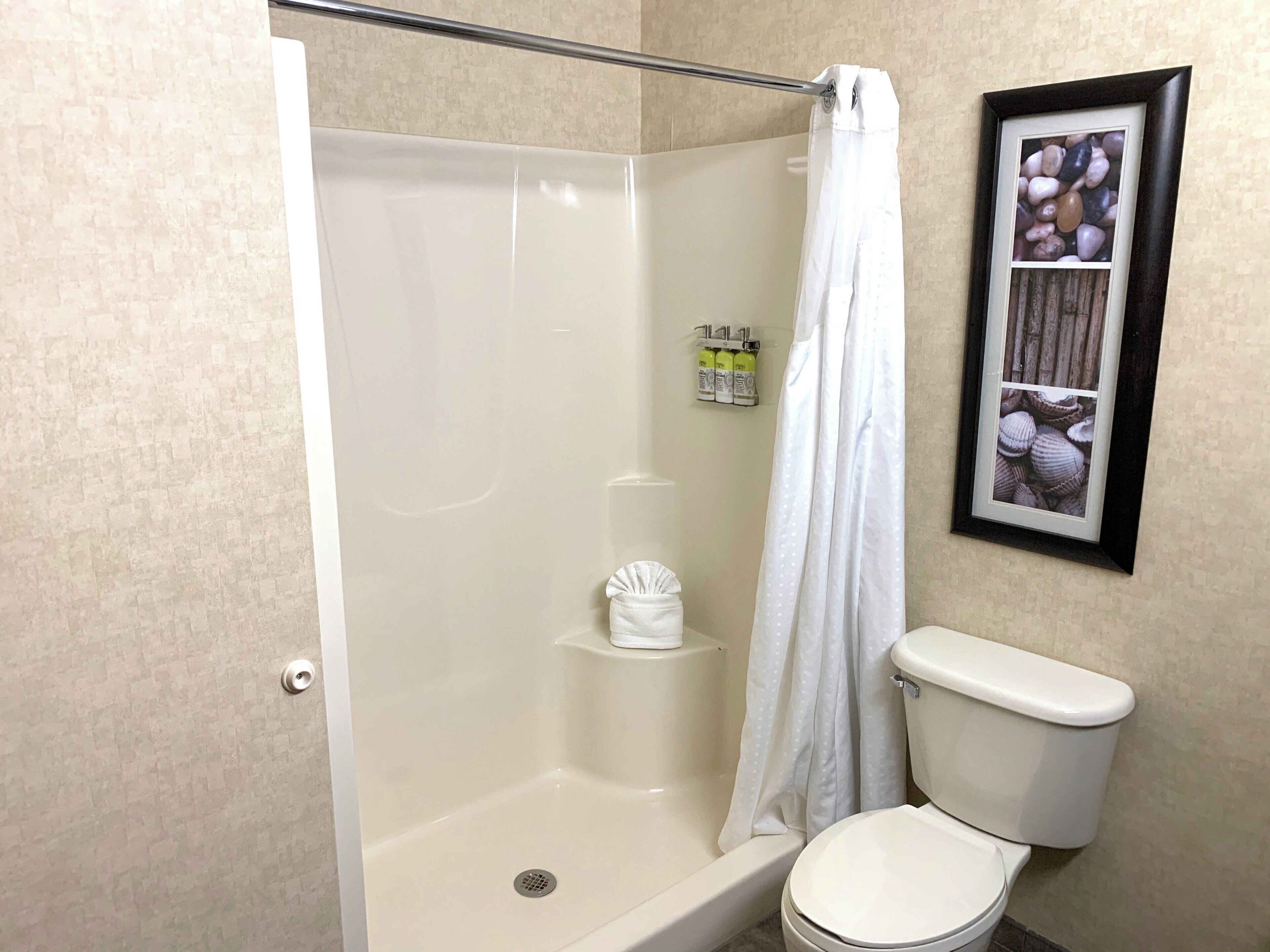 Ein Badezimmer mit Dusche, Toilette und einem gerahmten Bild an der Wand.