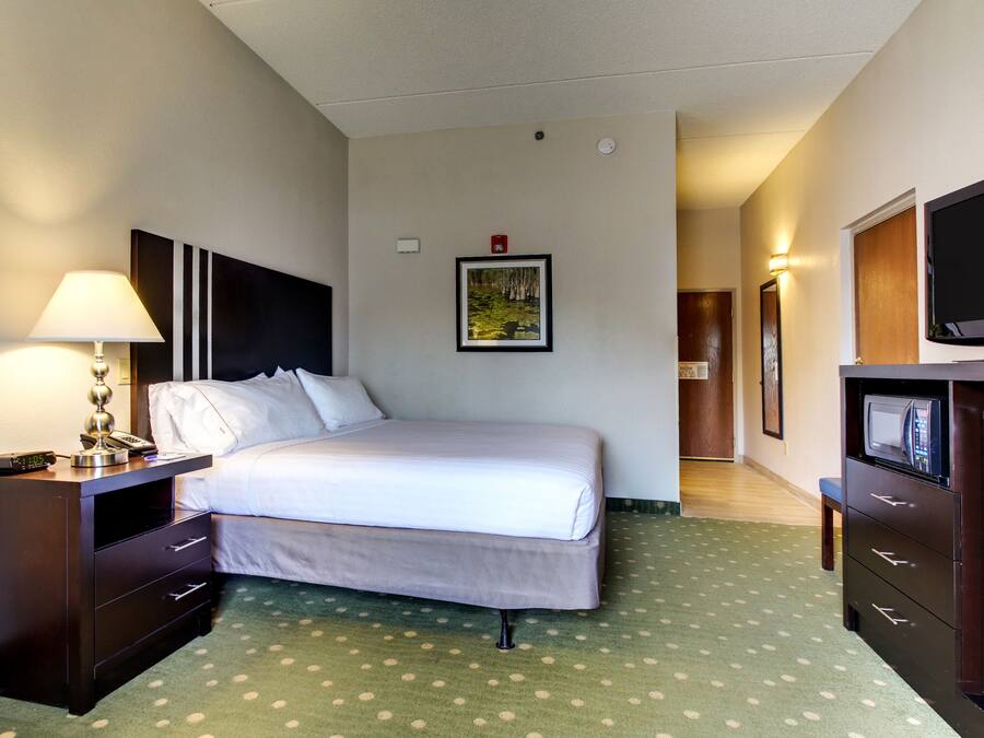 Suite, 1 King Bed, Accessible (Mobility, Roll-In Shower)