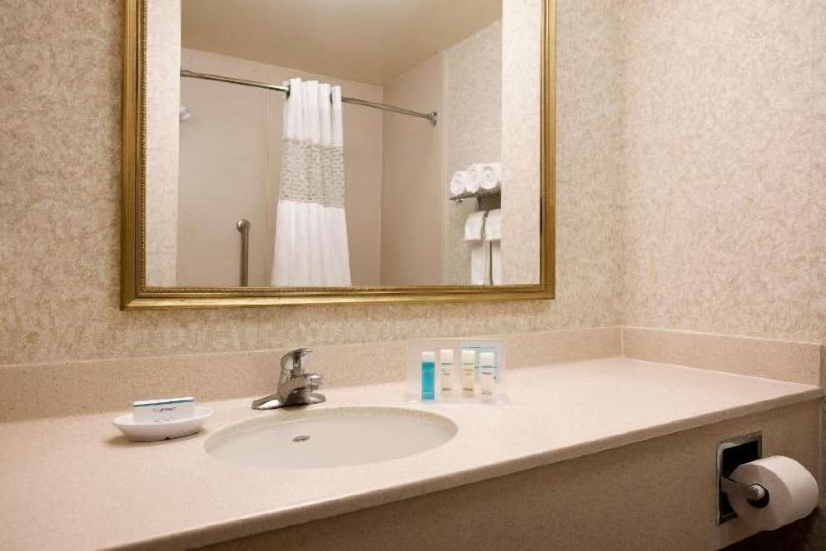 Bathroom | Combined shower/tub, free toiletries, hair dryer, towels
