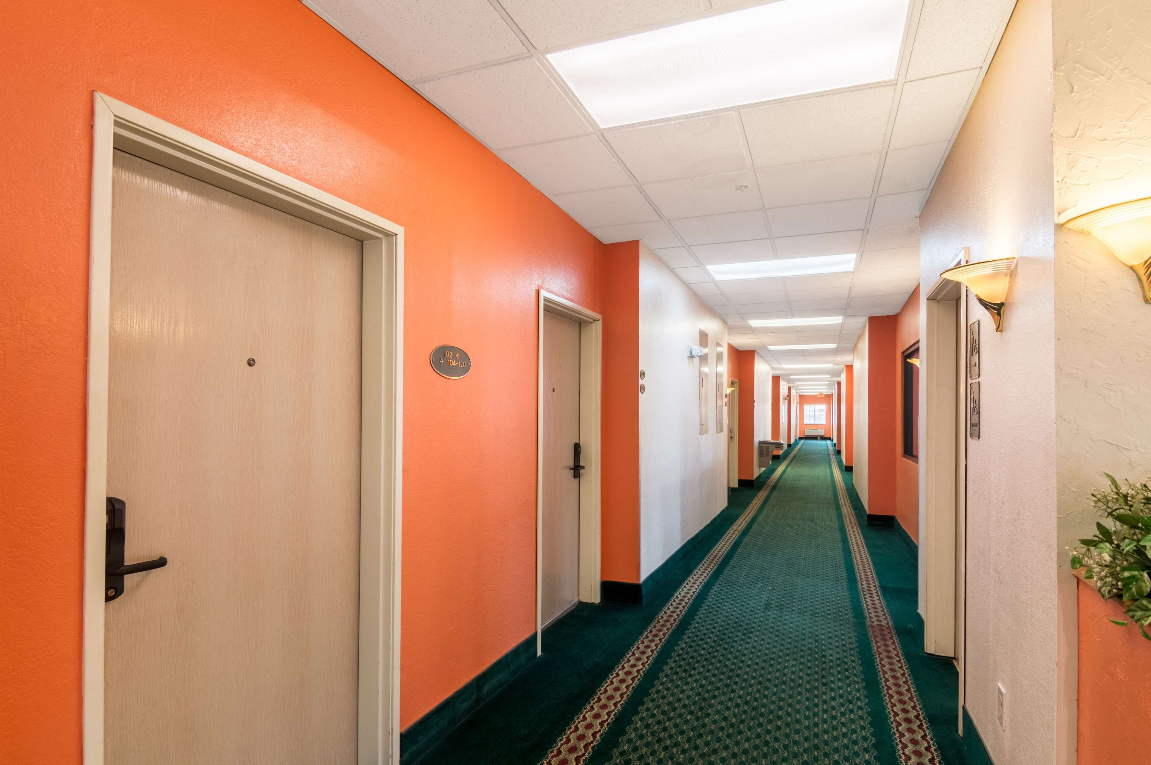 Un pasillo de hotel con paredes anaranjadas, alfombra verde y puertas con números de habitación.