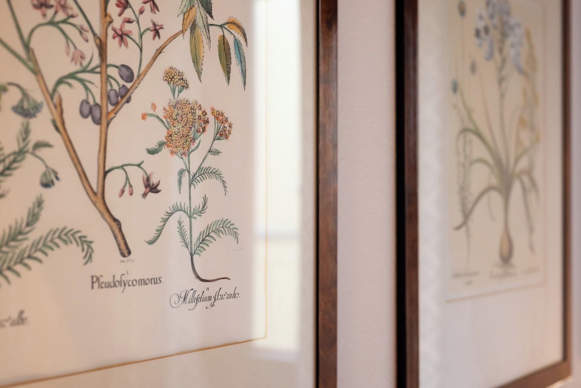 classic quadruple room | hypo-allergenic bedding, minibar, in-room safe, individually decorated