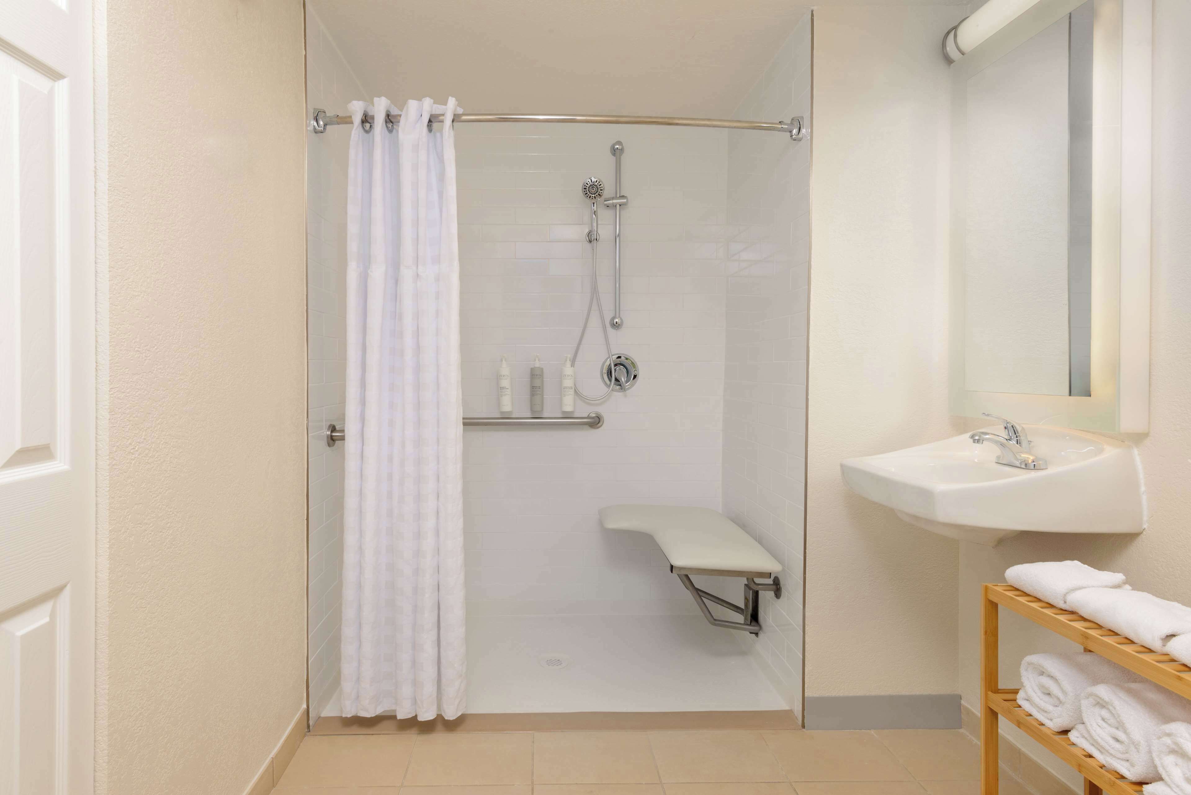 room, 1 queen bed, accessible (roll-in shower) | bathroom shower