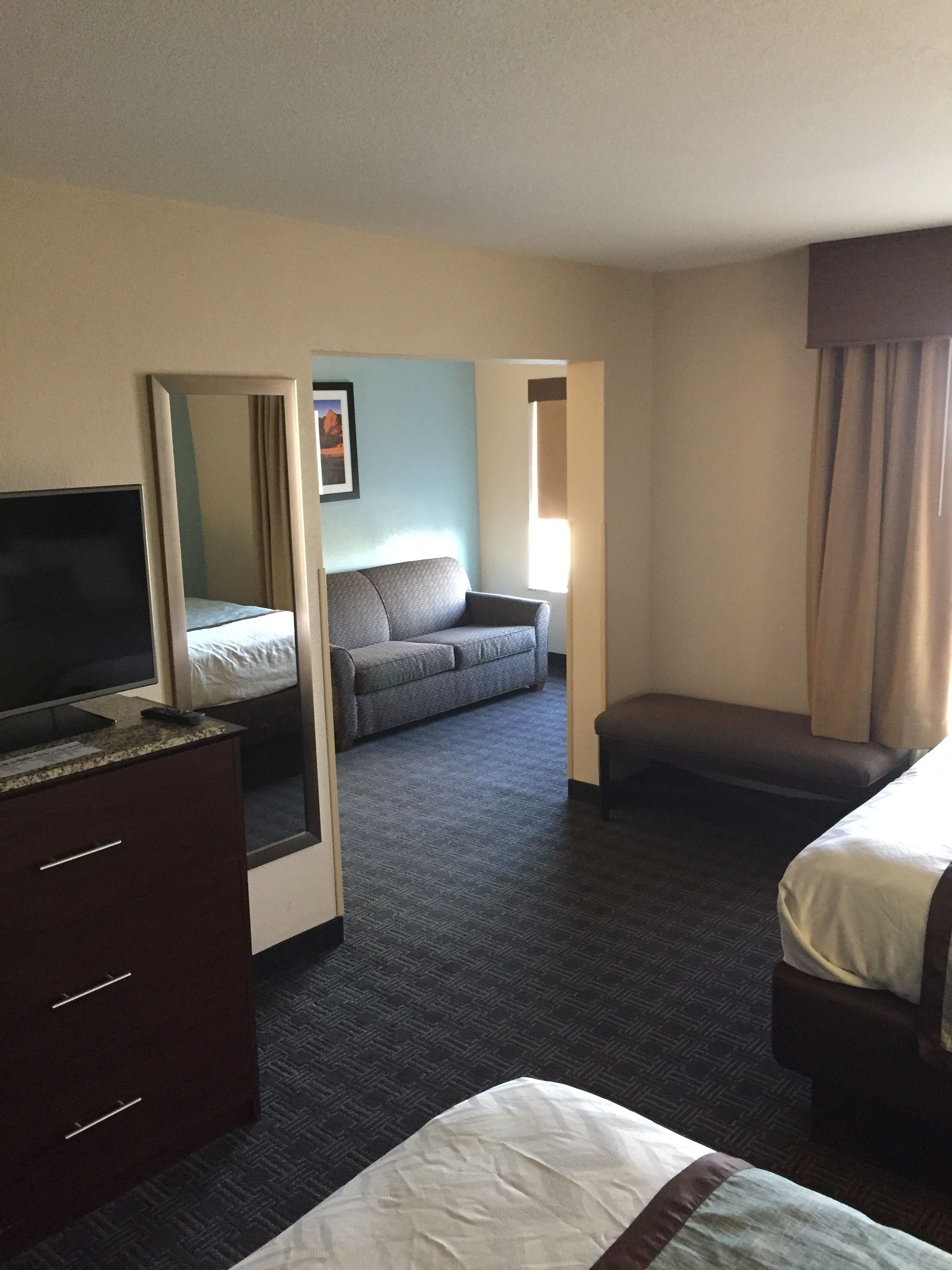 Une chambre d’hôtel avec un lit, un canapé, une télévision, un bureau et un miroir.