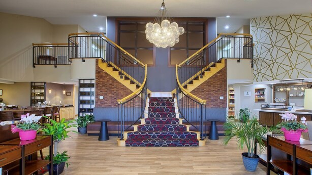Un vestíbulo amplio con una escalera central, piso de madera y plantas en macetas.