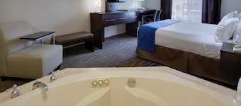 Holiday Inn Express Hotel & Suites Meadowlands Area by IHG