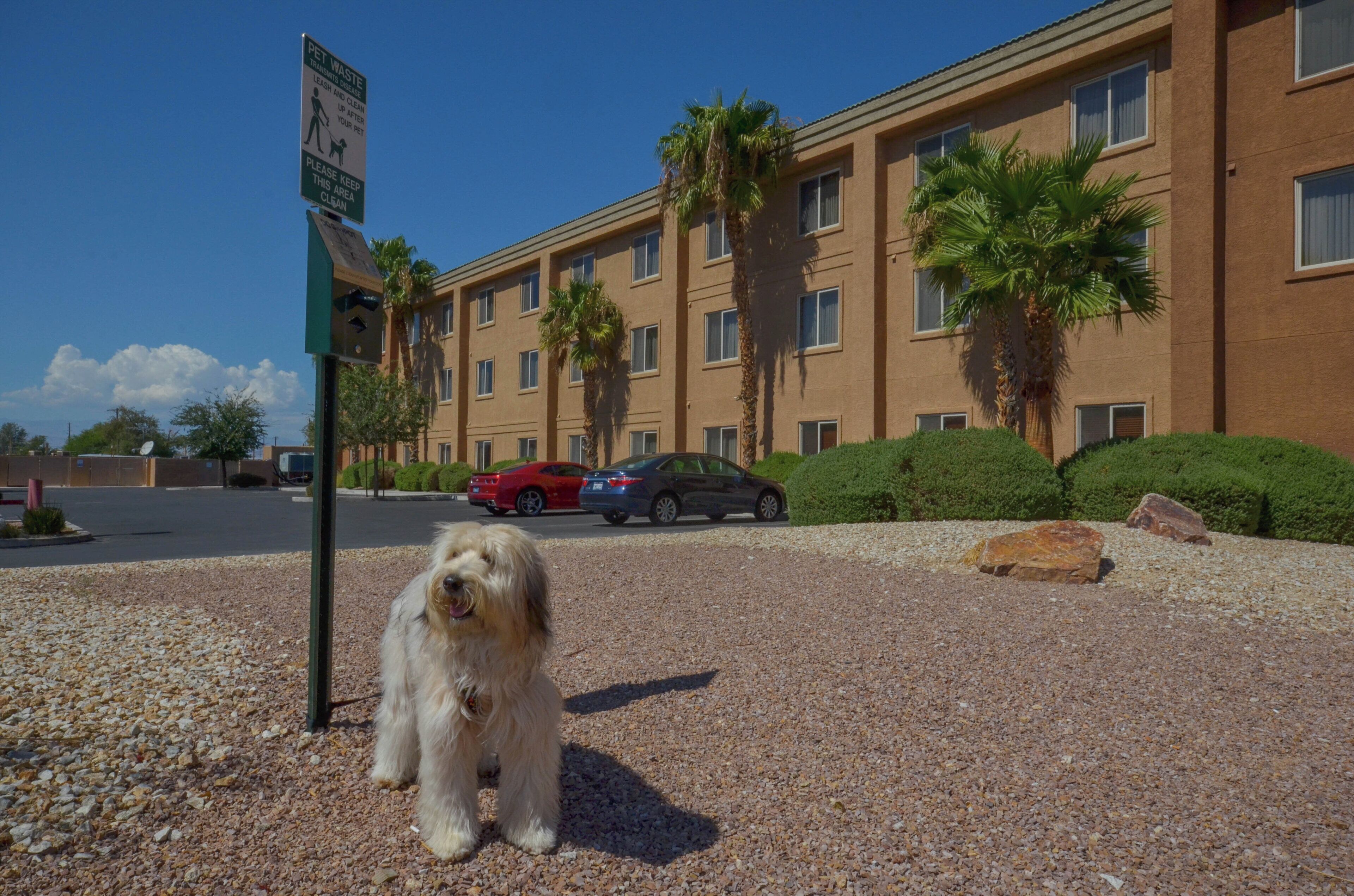 Foto - Holiday Inn Express Las Vegas-Nellis by IHG