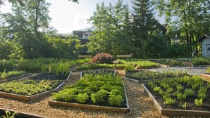 Un jardín con camas elevadas, rodeado de árboles y casas.