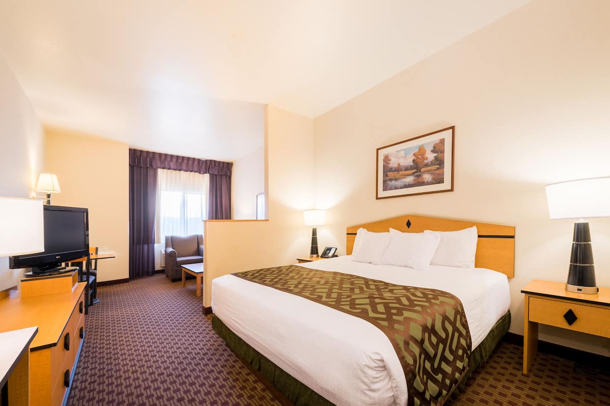 A hotel room with a bed, a television, a desk, a chair, and a painting on the wall.