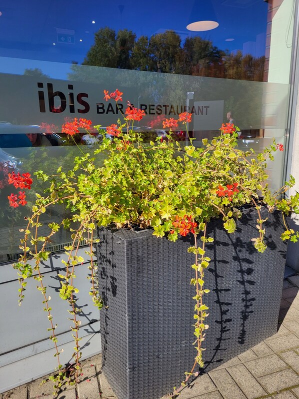 Una jardinera con follaje verde y flores rojas frente a un edificio con un letrero que dice 'ibis BAR RESTAURANT'.