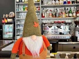 Bar (en la propiedad)