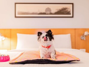 Pet-friendly - ibis Warszawa Ostrobramska (Warsaw)