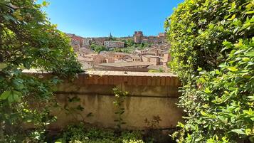 Vista de un pueblo histórico con edificios, una torre destacada y un muro de piedra al frente.