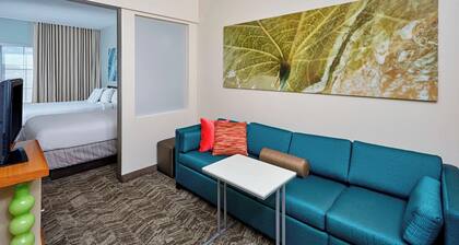 SpringHill Suites by Marriott Chicago Schaumburg/Woodfield