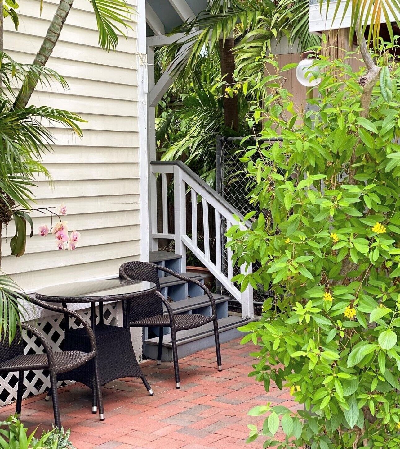 An outdoor patio with a table and chairs, surrounded by lush greenery and a wooden fence.