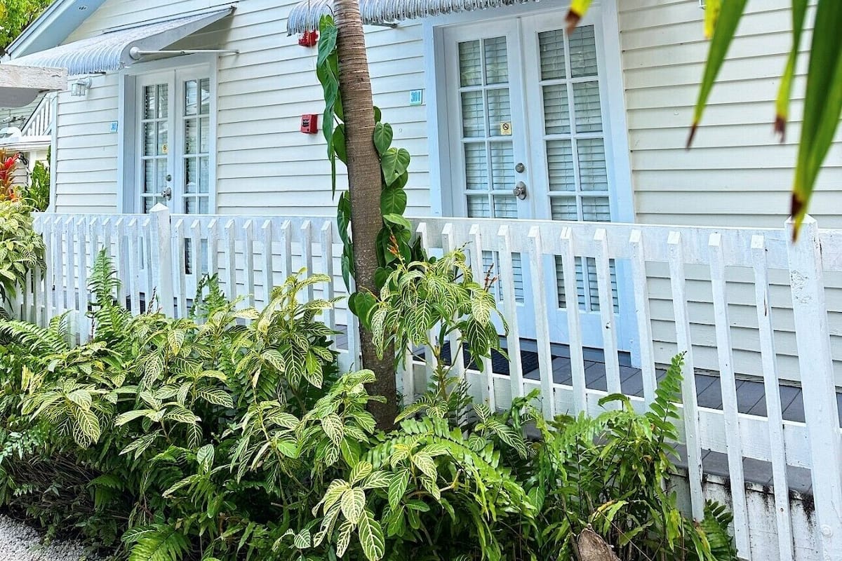 Una casa blanca con cerca de piquetes, una palmera y abundante vegetación.