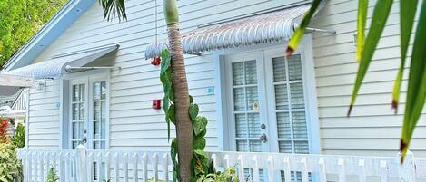 A white house with a picket fence, a palm tree, and lush greenery.