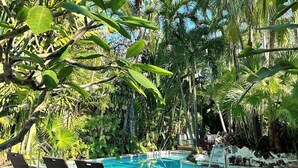 Un área junto a la piscina con sillones de descanso y una piscina azul cristalina rodeada de exuberante vegetación tropical.