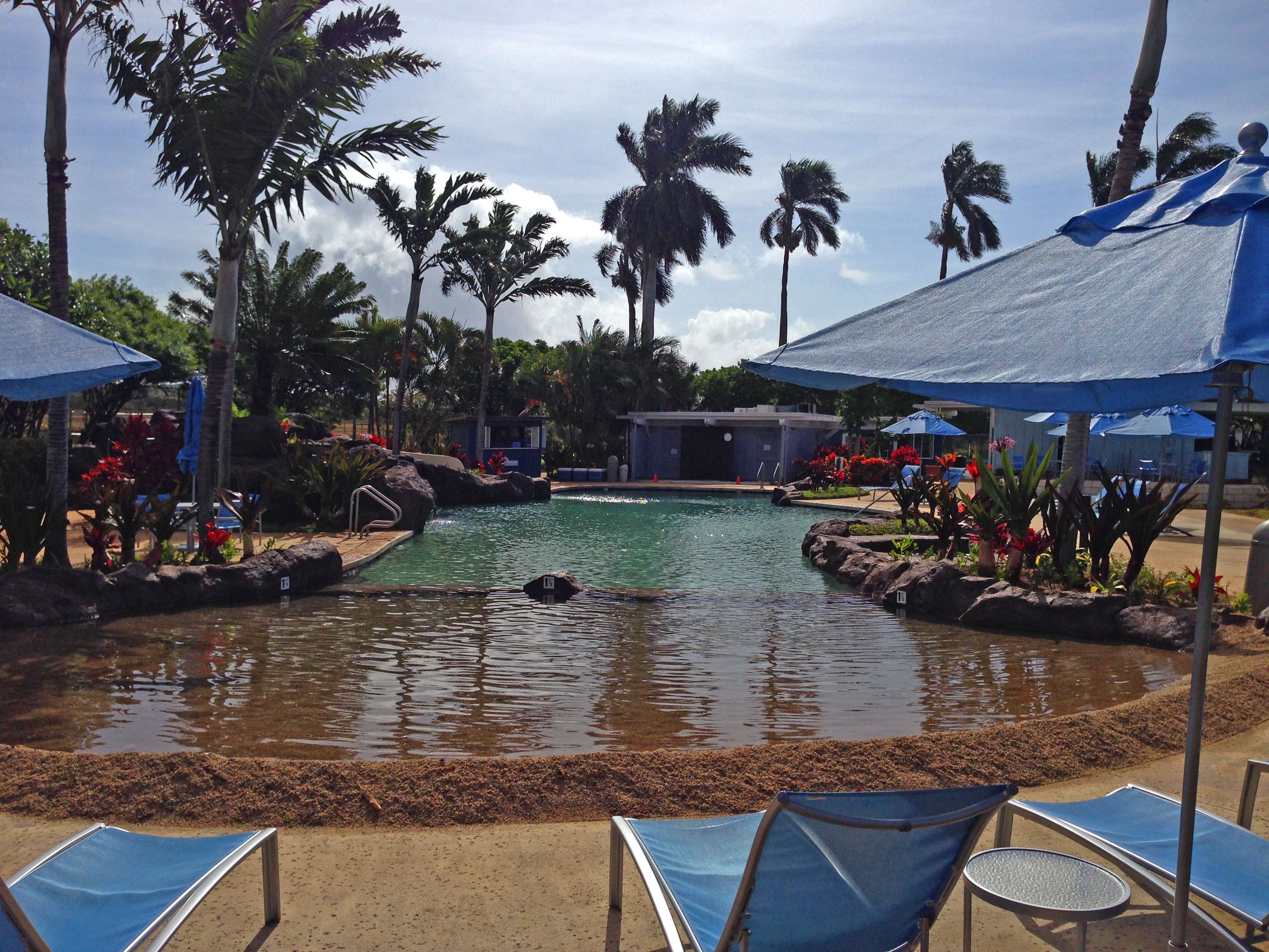 Zona de piscina con sillas de descanso y sombrillas, rodeada de palmeras y rocas.