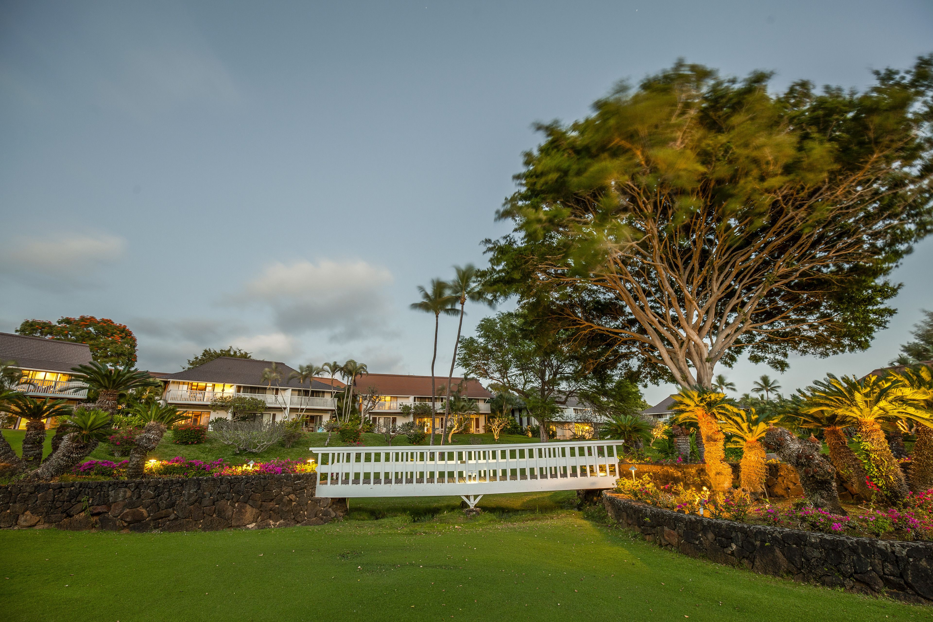 A well-maintained garden with a white bridge, lush greenery, and a large tree.