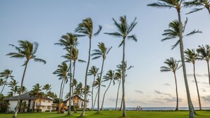 A golf course with palm trees and a building with a balcony overlooking the ocean.
