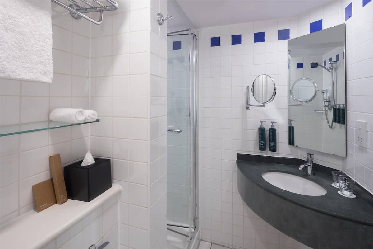 Shower, free toiletries, hair dryer, towels