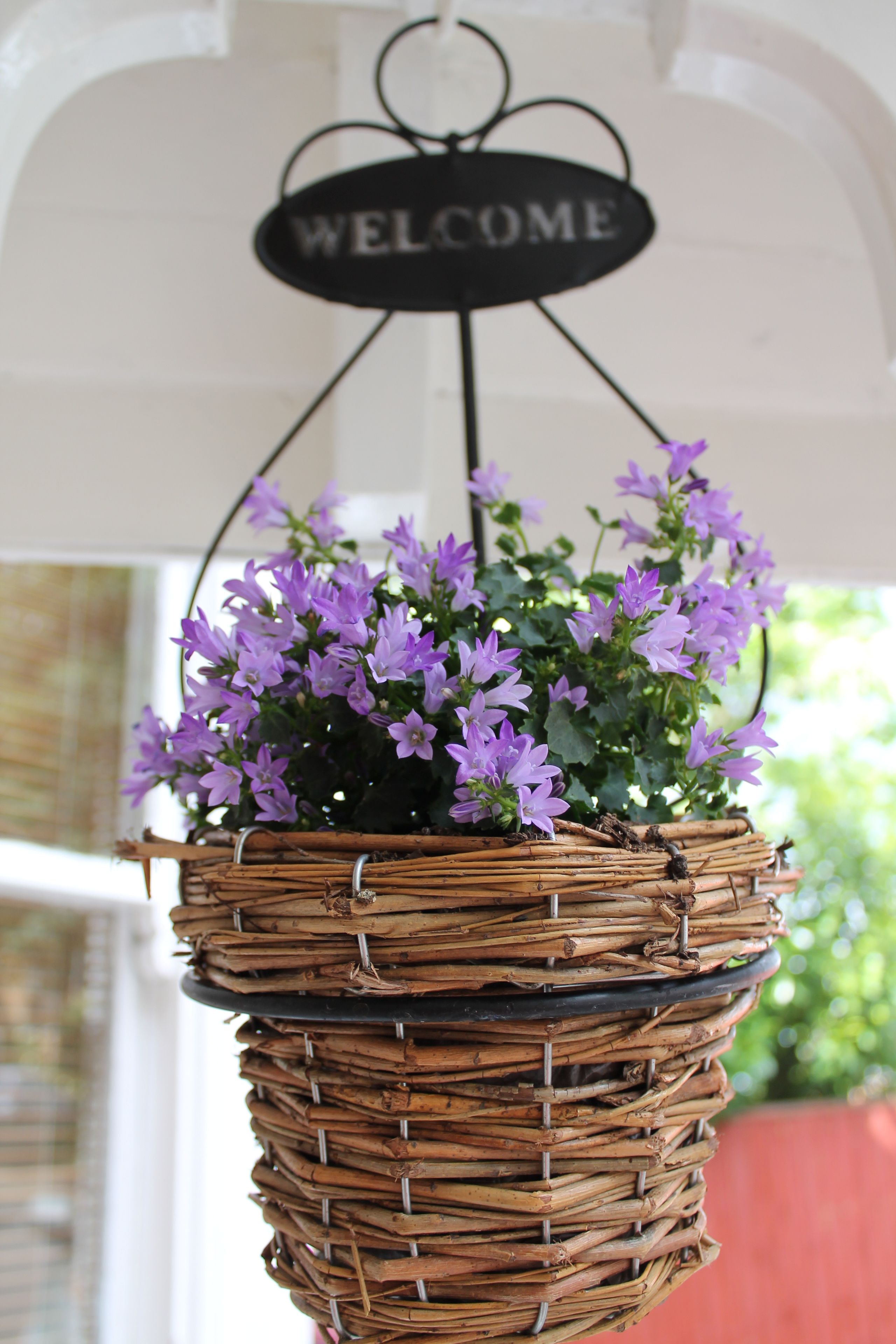 Foto - The Abbey House Hotel