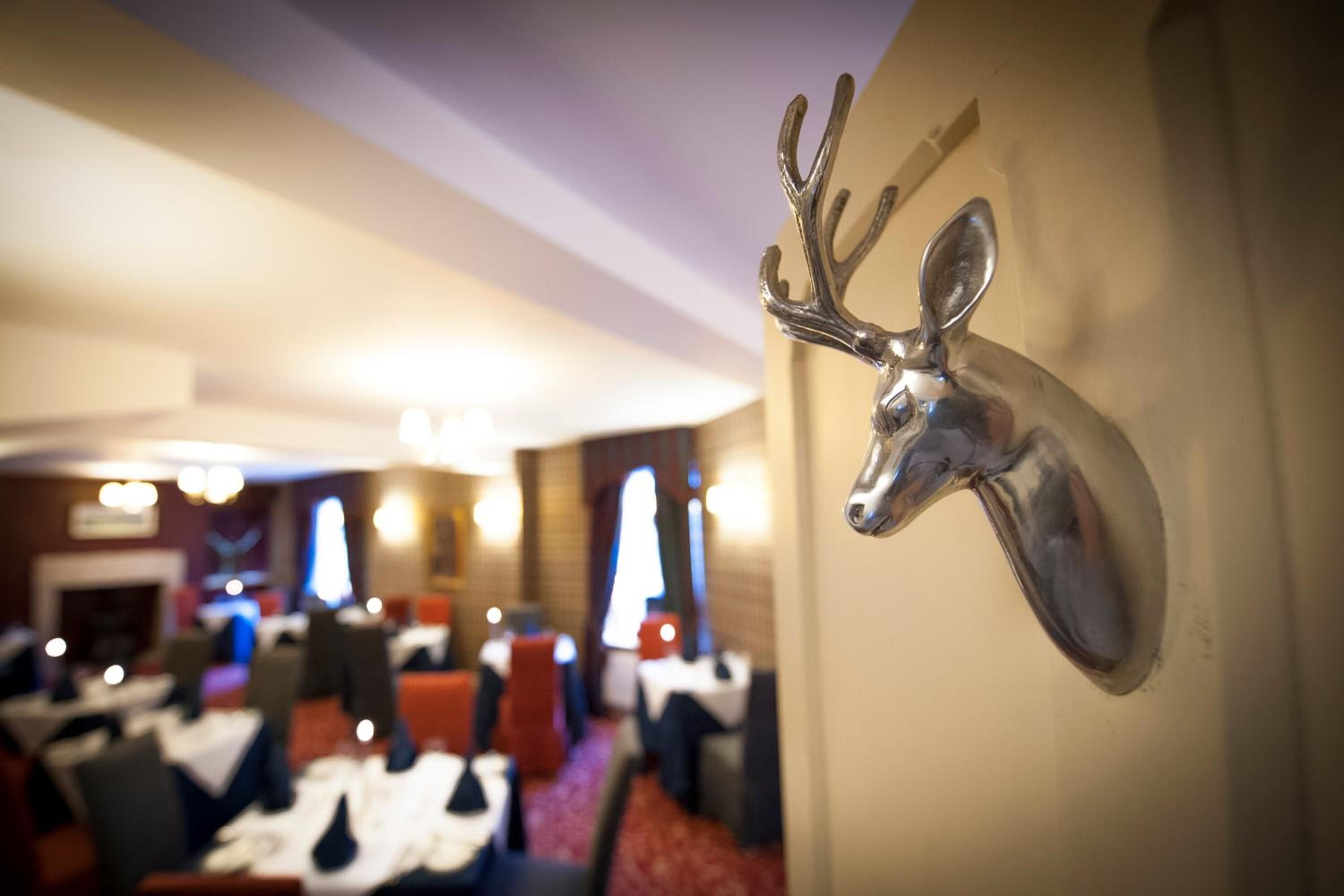 A restaurant interior with tables, chairs, and a mounted deer head on the wall.