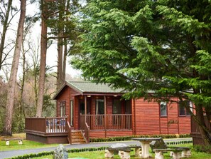 Habitación (Woodland Lodge) | Escritorio, tabla de planchar con plancha, cunas o camas infantiles