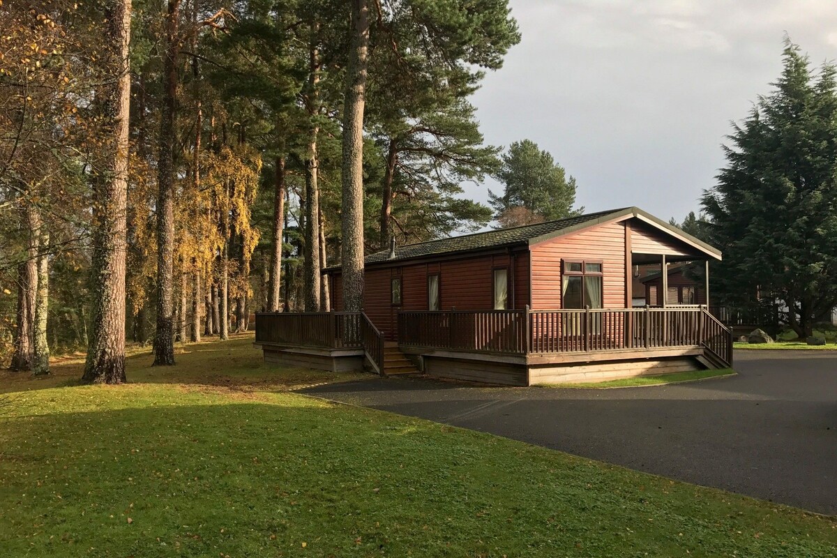 A small cabin with a porch and a covered staircase, surrounded by tall trees and a grassy area.