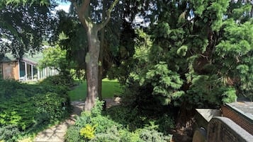 A garden with a large tree, a brick wall, and a pathway.
