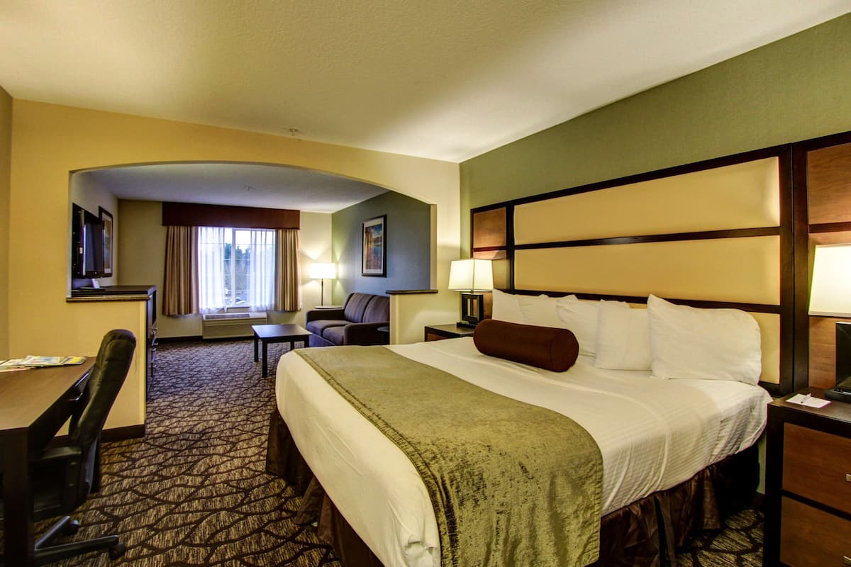 Una habitación de hotel con una cama grande, un escritorio, una silla, un televisor y un ventanal con cortinas.