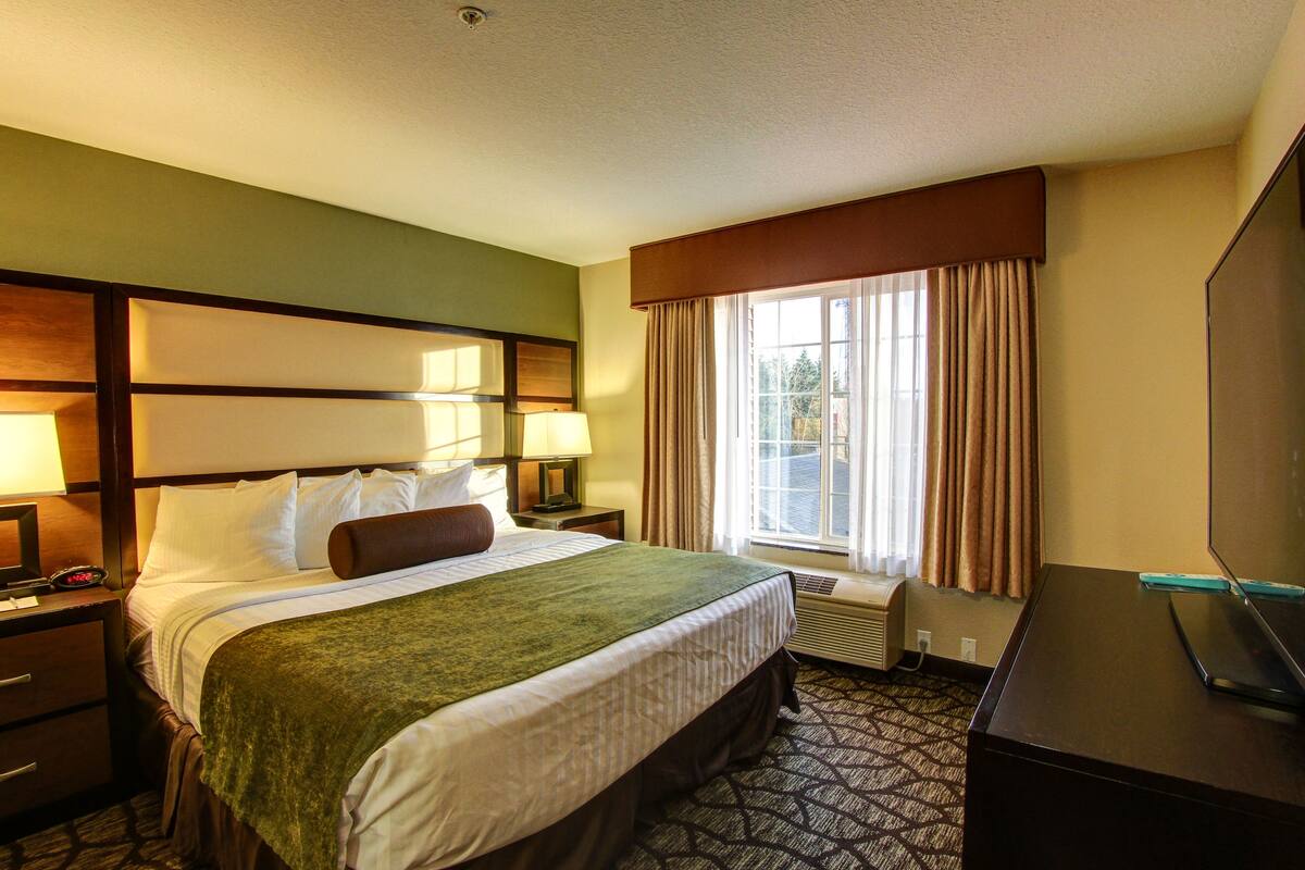 Habitación de hotel con una cama grande, un escritorio con computadora, un televisor y una ventana con cortinas.