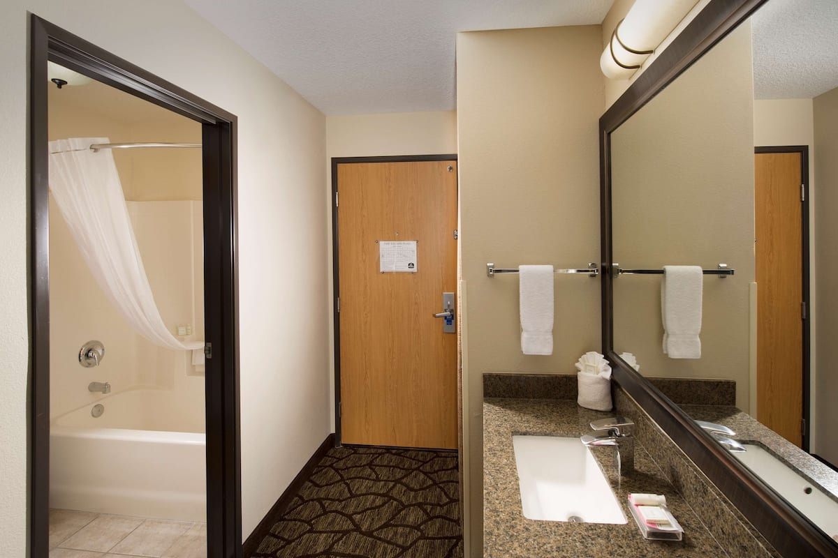 Un baño de hotel con ducha, lavabo, espejo y toallero.