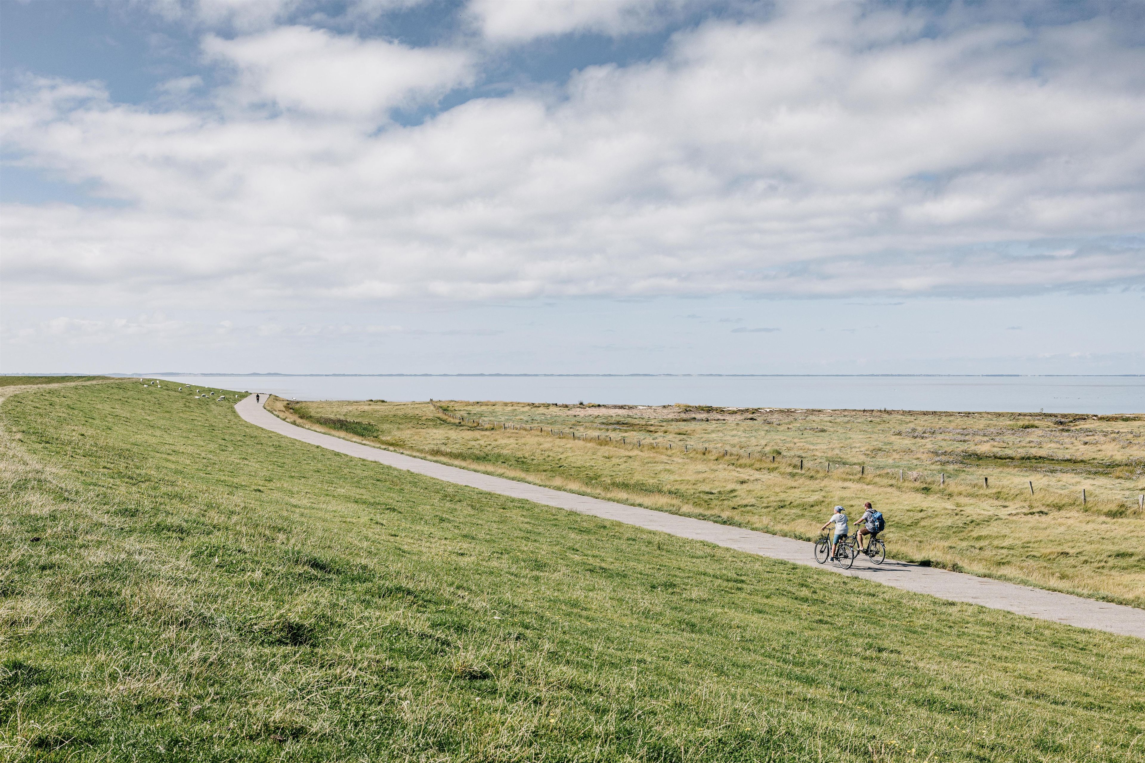 A paved path curving through a grassy field with a clear sky above.