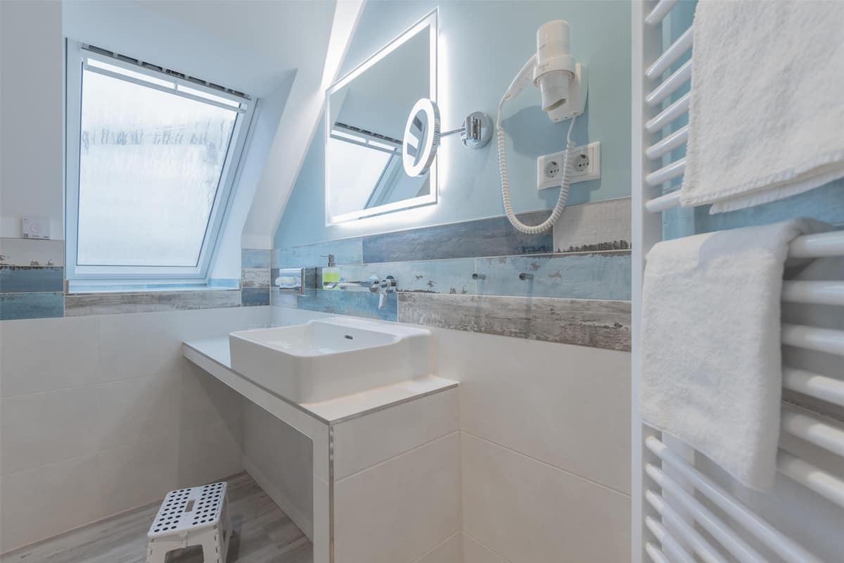 family room, 1 double bed, kitchenette (shower only;with sofabed) | bathroom | free toiletries, hair dryer, towels